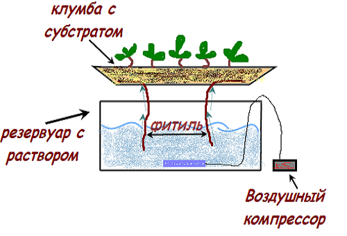 wick hydroponics system
