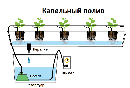 droppbevattning i hydroponic växtodling